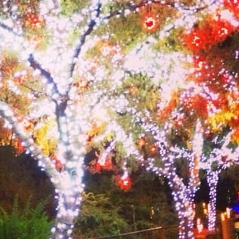 Zoolights - Love zoo lights - Zoos Near Me - Phoenix, Arizona Zoolights - Love zoo lights - Zoos Near Me - Phoenix, Arizona