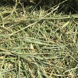 Fernley Hay & Grain
