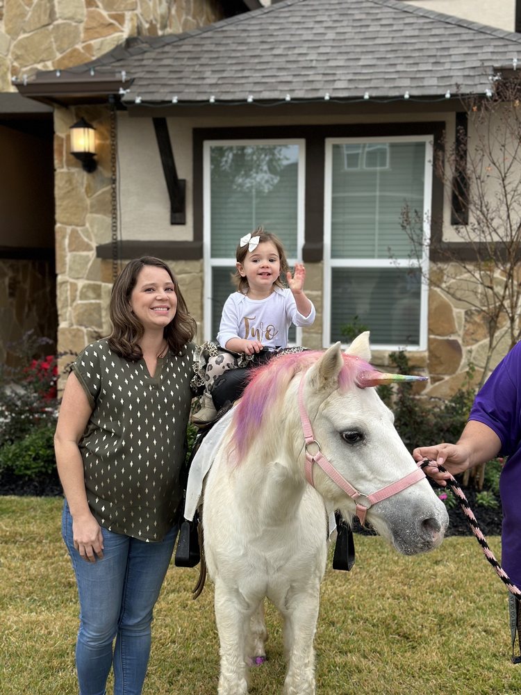 Giddy Up Pony Parties and Petting Zoos - equestrian in San Antonio, TX