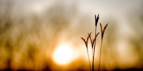 Nebraska Mental Health Centers - grief counselor in Lincoln, NE