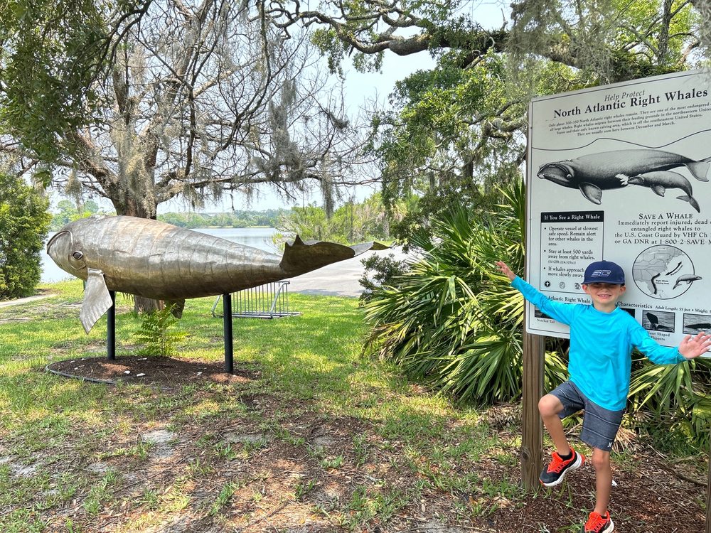 4H TIDELANDS NATURE CENTER Updated August 2024 11 Photos 100 S Riverview Dr, Jekyll