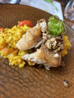 RusTeak Ocoee by null