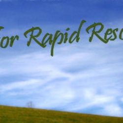 Molly Sanford, LCSW - Center For Rapid Resolution Therapy