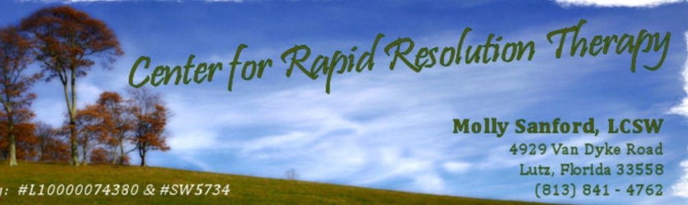 Molly Sanford, LCSW - Center For Rapid Resolution Therapy - grief counselor in Lutz, FL