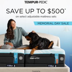 Mattress Dogzzz