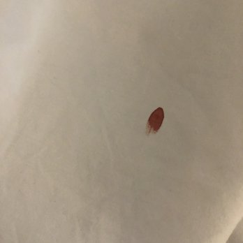 Baymont by Wyndham Crestview - Blood that was on "changed sheets". Was not from me or my son - Hotels Near Me - Crestview, Florida