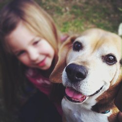 Affordable Veterinary Clinic - Buckley