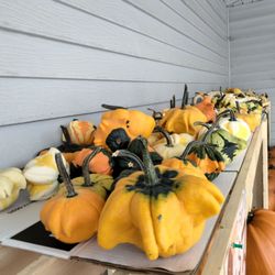 Gorski's - Beautiful!