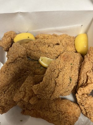 Catfish Station by null