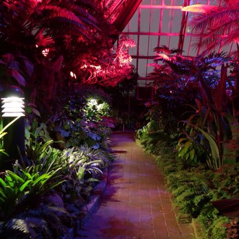Muttart Conservatory - Landmarks & Historical Buildings Near Me - Edmonton, Alberta Muttart Conservatory - Landmarks & Historical Buildings Near Me - Edmonton, Alberta
