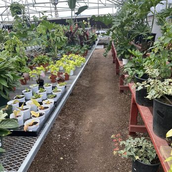 Botany - Nurseries & Gardening Near Me - Las Vegas, Nevada Botany - Nurseries & Gardening Near Me - Las Vegas, Nevada