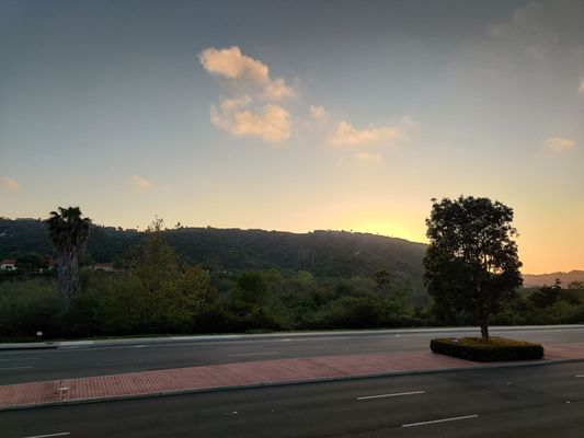 Shake Shack Carlsbad by null