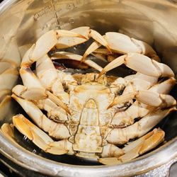 Alioto Lazio Fish Company - Fits perfect in an instant pot. Could easily fit a 2nd one in there