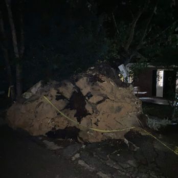 Miley's Tree - Tree Services Near Me - Charleston, West Virginia Miley's Tree - Tree Services Near Me - Charleston, West Virginia
