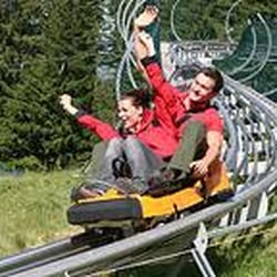 Alpsee Coaster
