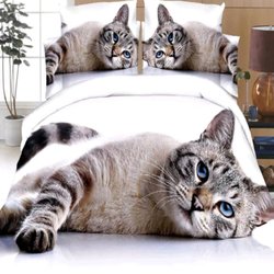 My Tents & More - 3D Bed Sets (Numerous Designs Available) $60