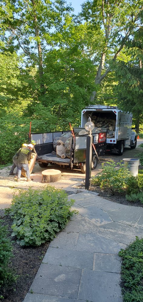 Butler & Sons Tree Service - tree service in Bellingham, MA