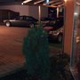 Photo of Pizzeria Ristorante Delizia