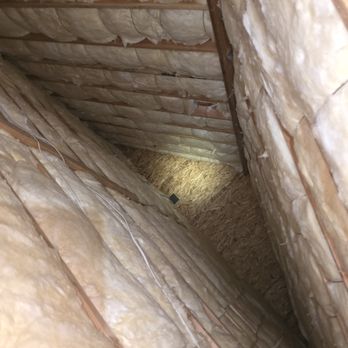 LA Rodents Control - New Insulation - Pest Control Near Me LA Rodents Control - New Insulation - Pest Control Near Me