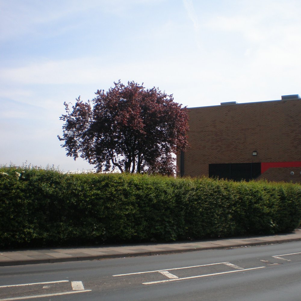 Phoenix Collegiate - Middle Schools & High Schools Near Me - West Midlands, XWM