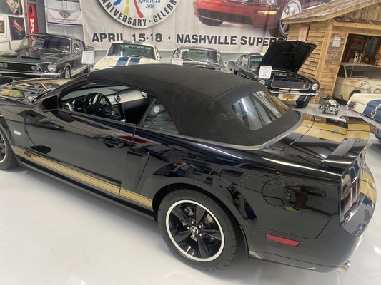 Mustang Owner's Museum by null