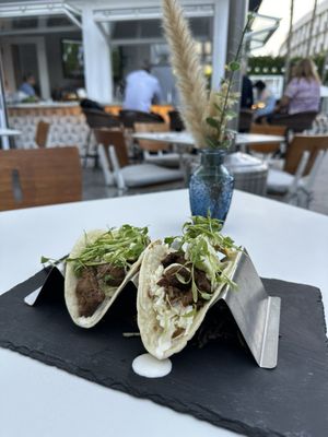 Sugar Palm Santa Monica by null