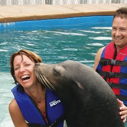 Ocean Connections - We have programs for all ages that will introduce you to the incredible world of marine mammals!