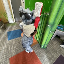 Kool Koala Pediatric And Adolescent Dentistry - Baby koala