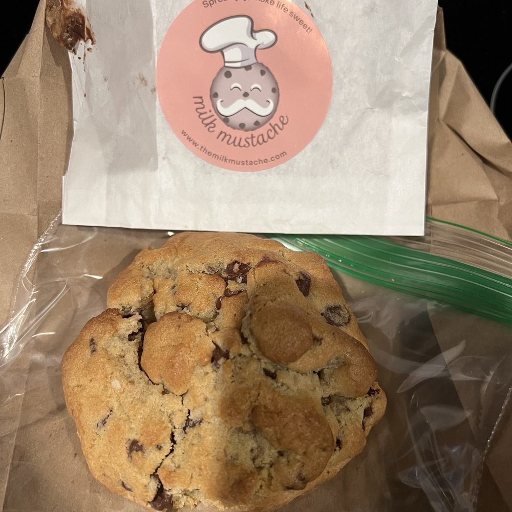 Chocolate Chip Chocolate Chip