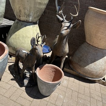 Warner's Nursery & Landscape - Nurseries & Gardening Near Me - Flagstaff, Arizona