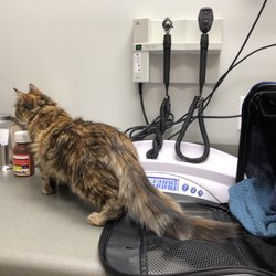 vca mission animal and bird