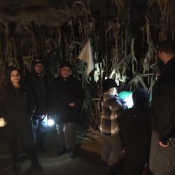 Beachmont Corn Maze