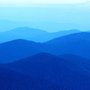 Photo of Search Friendly Web Design