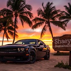 Shaeymans Sustainable Solutions