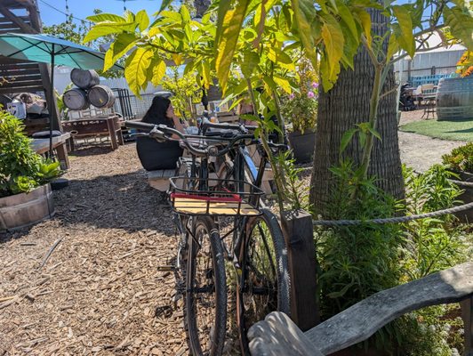 The Backyard by null