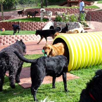 Canyon View Ranch - Pet Training Near Me - Topanga, California