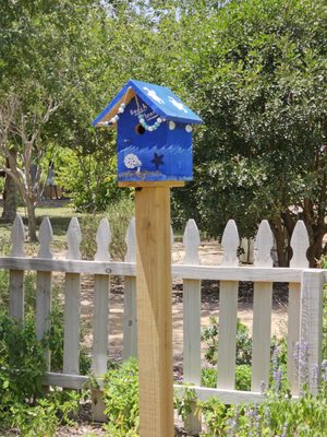 South Texas Botanical Gardens & Nature Center by null