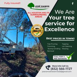 Jose Ramos Tree Service - Transform your landscape with Jose Ramos Tree Service! 

Call Now: (832) 566-1727