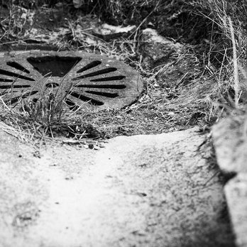 Sepco Septic Service - post - Septic Services Near Me - Conroe, Texas Sepco Septic Service - post - Septic Services Near Me - Conroe, Texas