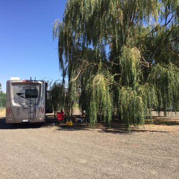 Gifford Hirlinger Winery - Picnic in the shade of a willow. - Wineries Near Me - Walla Walla, Washington