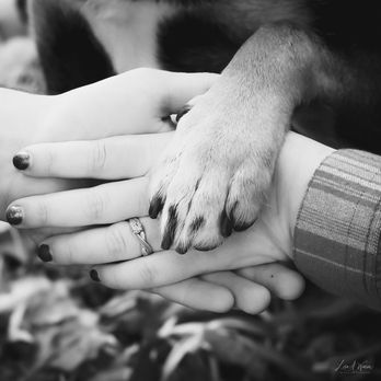 On River Time Photography - Engagement Session - Event Photography Near Me - Cohasset, Minnesota
