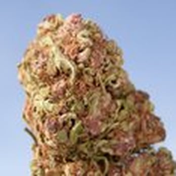 Northstone Organics - Cannabis Clinics Near Me Northstone Organics - Cannabis Clinics Near Me