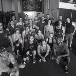 War Horse Barbell