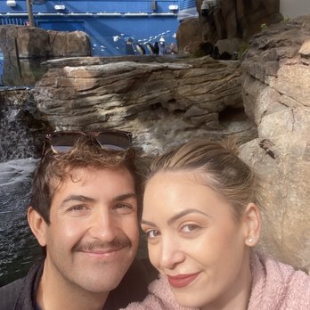 Birch Aquarium - Selfie with tiny penguins in background :) - Aquariums Near Me - La Jolla, California Birch Aquarium - Selfie with tiny penguins in background :) - Aquariums Near Me - La Jolla, California