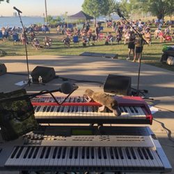 Bayonne Park - Everyone ready for one of the Wednesdays band in 2022
