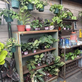 Garden Coffee - Cafes Near Me - San Diego, California