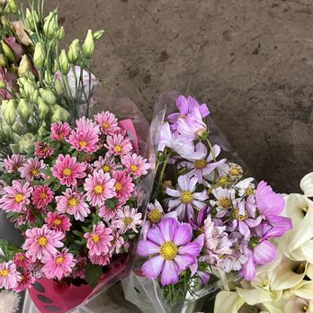 G & J Flower SA - Wholesale Stores Near Me - Santa Ana, California G & J Flower SA - Wholesale Stores Near Me - Santa Ana, California