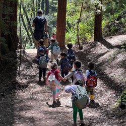 Terra Schools - Walking in the forest during earth education. Learning more about the natural wonders.