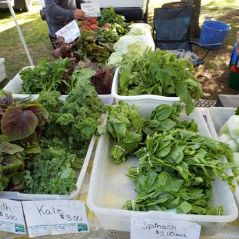 Ellington Farmers Market - Best farmers market around these parts - Farmers Market Near Me - Ellington, Connecticut Ellington Farmers Market - Best farmers market around these parts - Farmers Market Near Me - Ellington, Connecticut