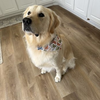 EarthWise Pet - Pet Groomers Near Me - Milton, Georgia